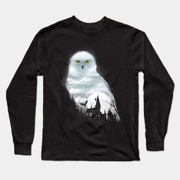 Magical Owl Long Sleeve T-Shirt by DANDINGEROZZ